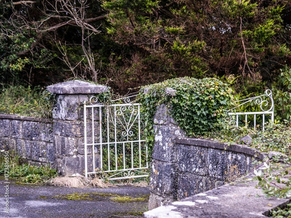 Fototapeta Garden gate