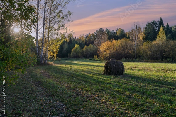 Fototapeta Haystack roll on green grass field at forest trees in summer evening.