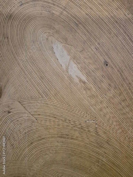 Fototapeta abstract texture of wood grain