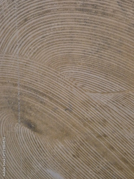 Fototapeta abstract texture of wood grain