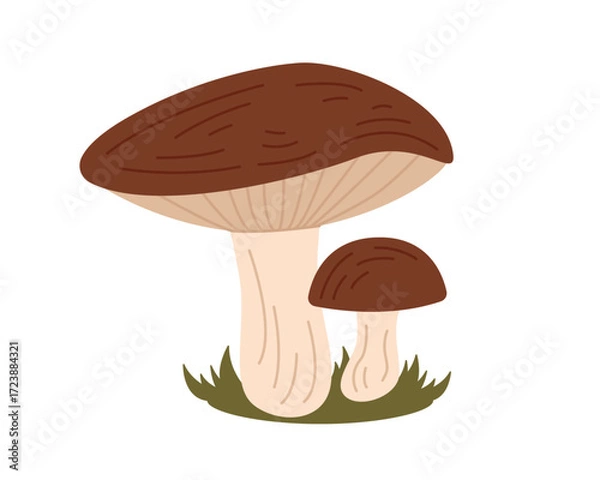 Fototapeta Simple mushroom. Two cute mushrooms. Design element. Autumn season. Vector illustration