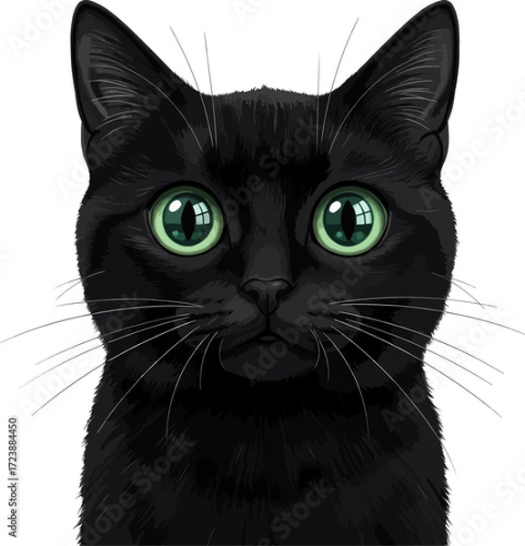 Fototapeta Black cat with big, beautiful and round green eyes and lush mustache in realistic vector style.