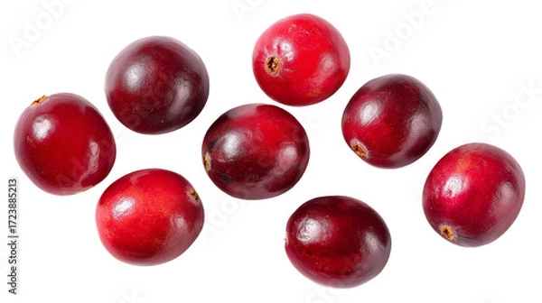 Obraz A group of eight cranberries scattered on a black background in a studio shot for food photography