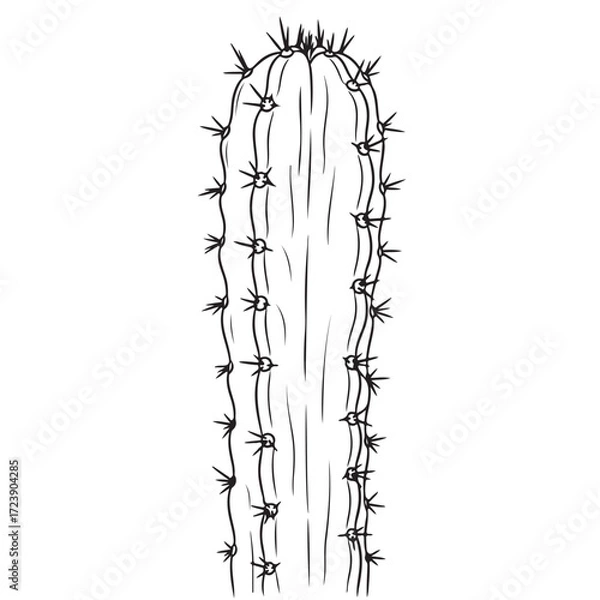 Obraz Cactus Minimal Line Drawing