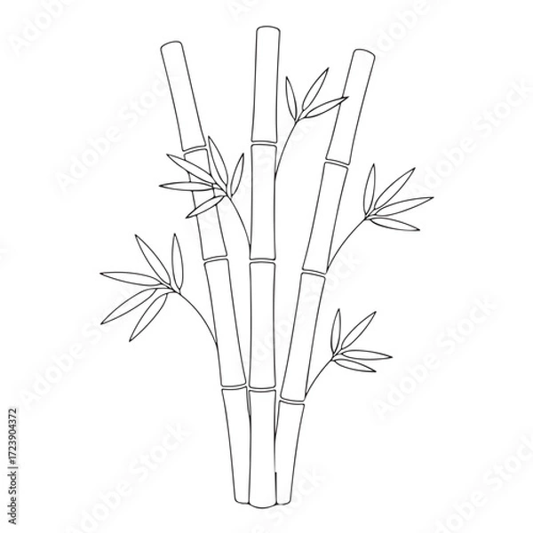 Obraz Bamboo Minimal Line Illustration