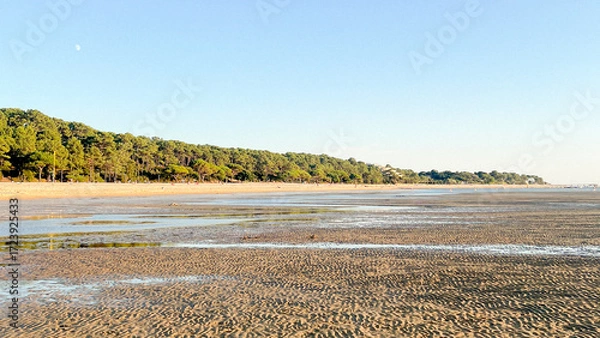 Fototapeta Soft sandy stretches meet calm waters at Plage Peirere in Arcachon. Early morning light illuminates the peaceful scene, framed by lush green trees, inviting relaxation and tranquility.