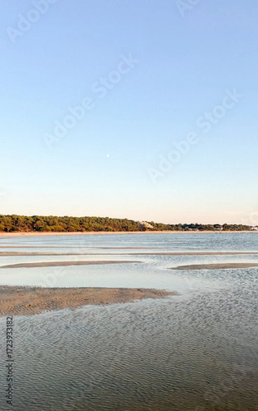 Fototapeta Soft sandy stretches meet calm waters at Plage Peirere in Arcachon. Early morning light illuminates the peaceful scene, framed by lush green trees, inviting relaxation and tranquility.