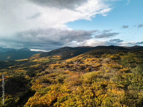 Fototapeta Autumn mountains with colorful forest and golden foliage under dramatic cloudy sky, wide seasonal landscape view