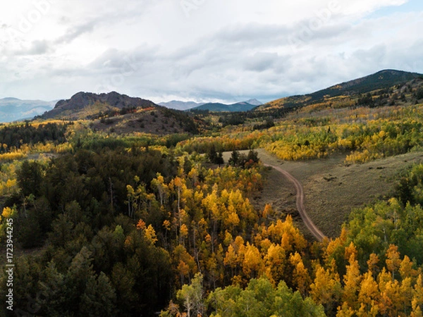 Fototapeta Autumn forest with golden foliage and winding road through valley surrounded by mountains under cloudy sky