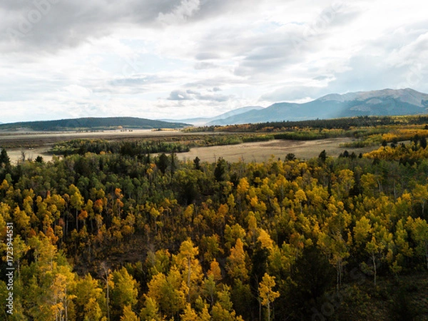 Fototapeta Autumn forest with colorful foliage in valley and distant mountains under cloudy sky, vibrant seasonal landscape