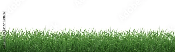 Fototapeta Grass Border With Isolated White Background