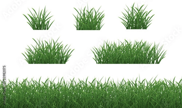 Fototapeta Grass Borders Set With Isolated White Background