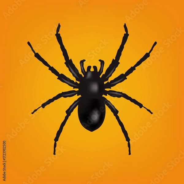 Fototapeta Spider Border Isolation Orange Background