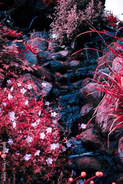 Fototapeta Colorful flowers and a serene stream create a peaceful scene in Denmark's natural landscape