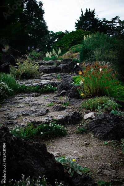 Fototapeta Exploring the rocky garden path in Denmark filled with diverse plants and greenery