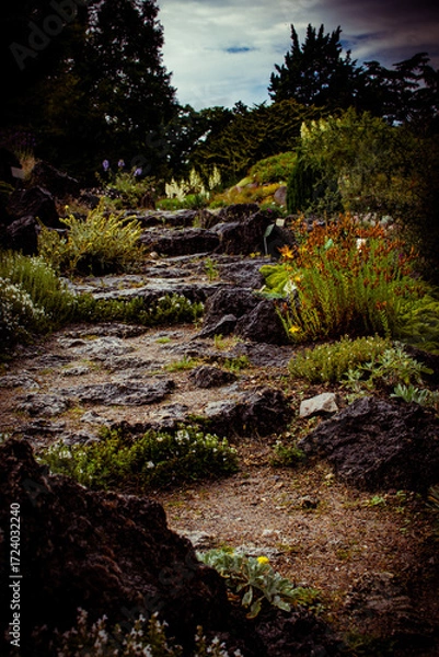 Fototapeta Natural pathway through a scenic garden in Denmark showcasing lush greenery and rocky terrain
