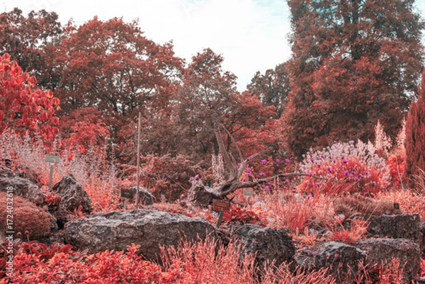 Fototapeta Vibrant autumn landscape in Denmark featuring colorful plants and serene greenery