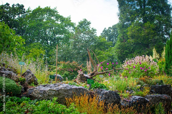 Fototapeta Stunning garden scenery in Denmark showcasing colorful flowers and lush greenery on a sunny day