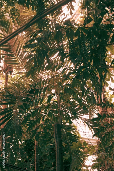 Fototapeta Lush green vegetation creating a serene atmosphere in a Danish outdoor setting