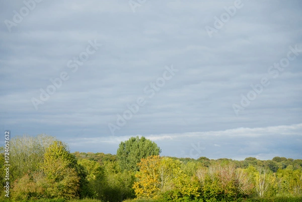 Obraz Autumn Trees and Cloudy Sky at Clumber Park, Nottinghamshire, England: A Serene Countryside Landscape