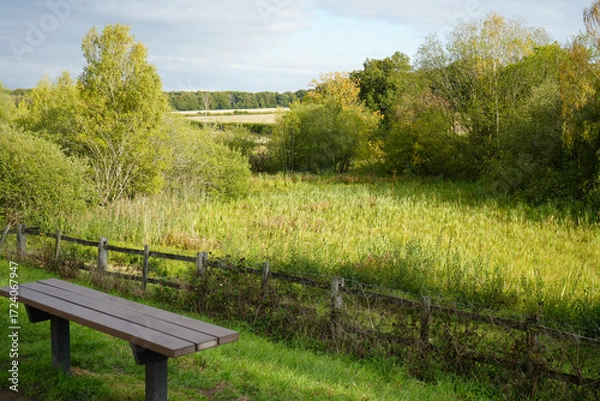 Obraz Tranquil Countryside Scene with Bench at Clumber Park, Nottinghamshire, England