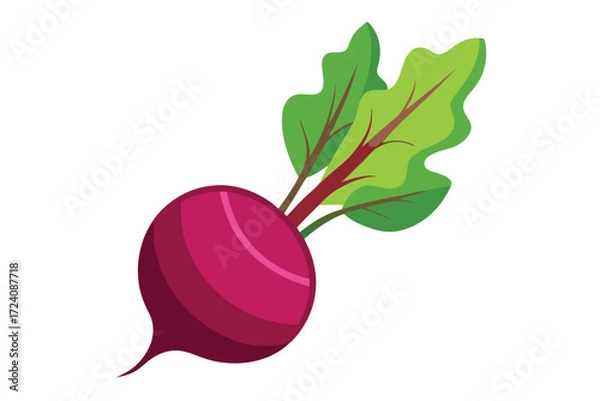 Fototapeta Vivid beetroot vegetable features rich color and fresh green leaves against a clean backdrop