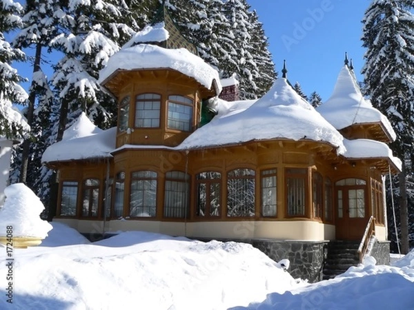 Obraz mountain house