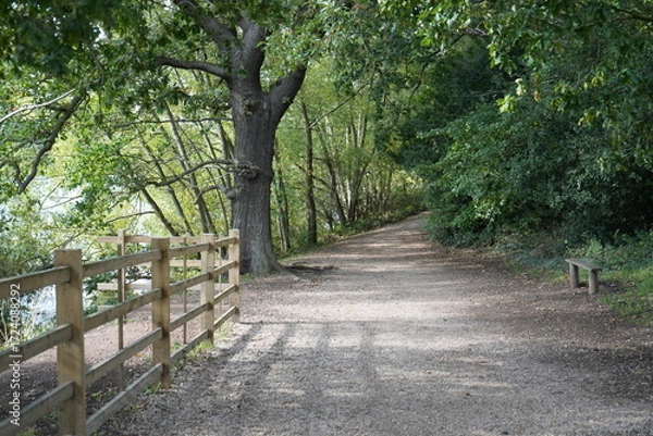 Obraz Scenic Walking Trail at Clumber Park, Nottinghamshire, England: A Peaceful Countryside Path