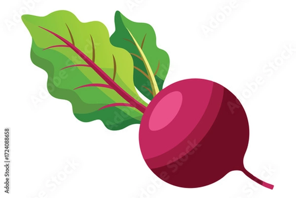 Fototapeta Beetroot features vibrant green leaves and a red stem, creating a natural appearance
