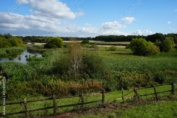 Obraz Serene Countryside View with River and Fields at Clumber Park, Nottinghamshire, England
