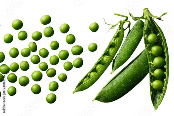 Fototapeta Fresh organic green peas spilling from an open pod on a white background