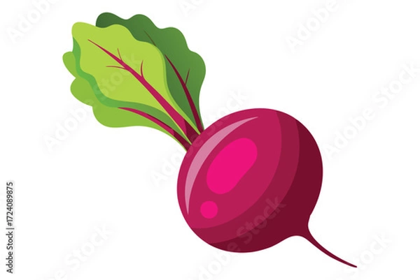 Fototapeta Vibrant magenta beetroot with fresh green leaves creates a lively and healthy visual