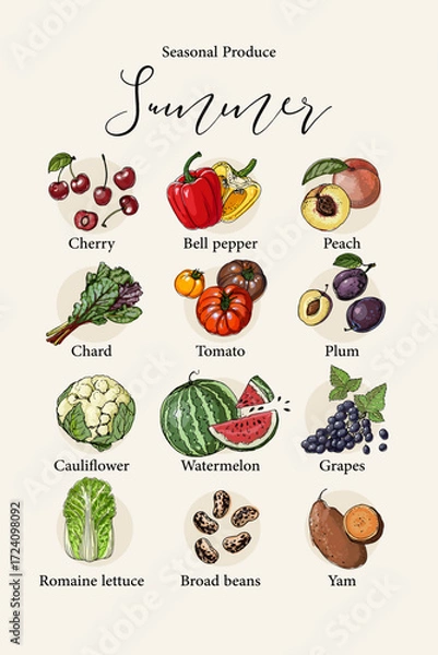 Fototapeta Vector poster with colorful hand drawn illustrations of seasonal summer produce: cherry, bell pepper, peach, chard, tomato, plum, cauliflower, watermelon, grapes, romaine lettuce, broad beans, and yam
