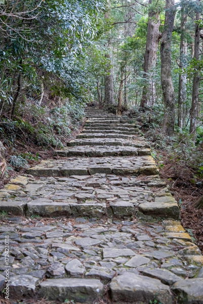 Fototapeta 石の階段を登る