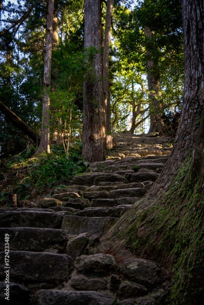 Fototapeta 苔むした石段