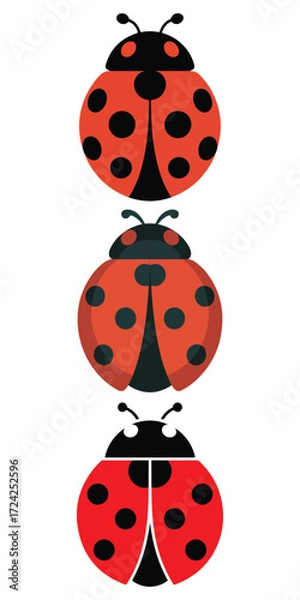 Obraz Ladybug Vector Illustration – Red Beetle Icons with Black Spots