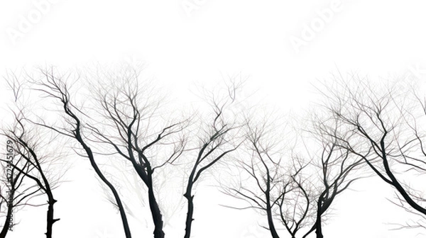 Fototapeta Abstract textured branches of trees isolated on transparent background