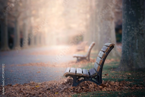 Obraz 夕日に照らされる公園のベンチ