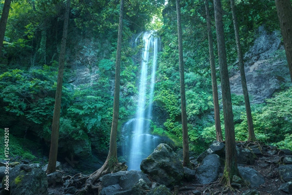 Obraz 神秘的なの滝