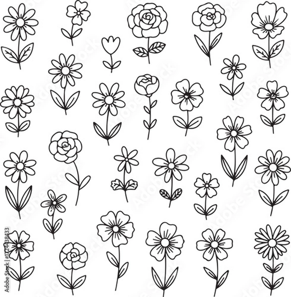 Fototapeta Floral Sketch Collection: A collection of delicate floral sketches, each with its own unique style, perfect for adding a touch of natural beauty to any project.