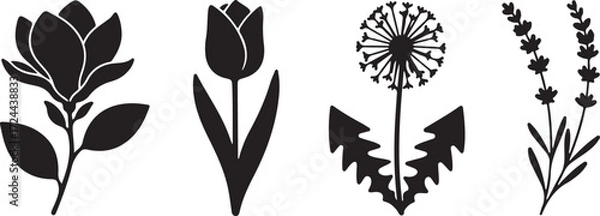 Fototapeta Floral Silhouettes: Delicate silhouettes of a magnolia, tulip, dandelion, and lavender stand out in bold contrast, perfect for design, art, and nature projects.