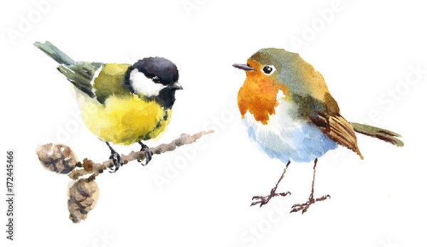 Fototapeta Robin and Tit Two Birds akwarela ręcznie malowane ilustracja zestaw na białym tle