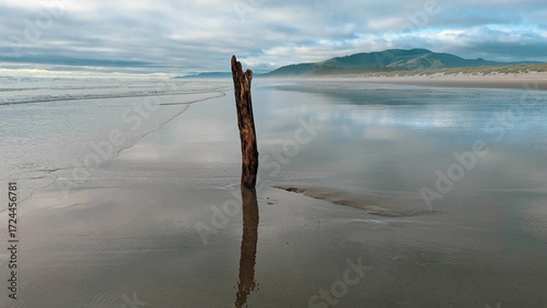 Fototapeta View northward along a beach towards a distant ridge covered in a dark pine forest, with the cloudy and  mysterious sky reflected on the wet sand. A single upright piece of driftwood in the foreground