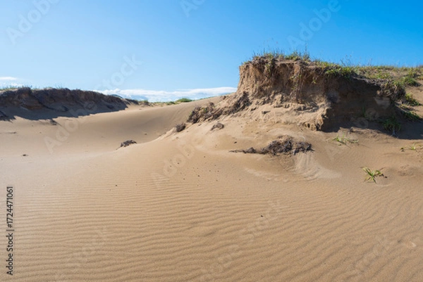 Obraz 夏の鳥取砂丘の風景 鳥取県 鳥取砂丘