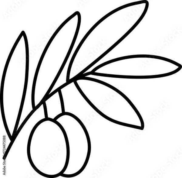 Fototapeta Olive Branch with Olives. Simple Outline Olive/Zaitun Coloring Page