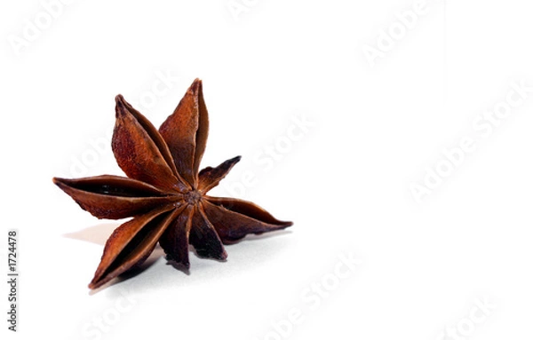 Obraz weihnachtsgewürz