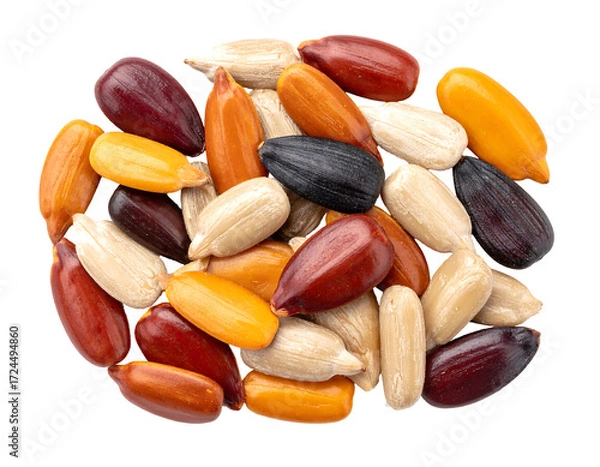 Obraz Colorful sunflower seeds, various hues