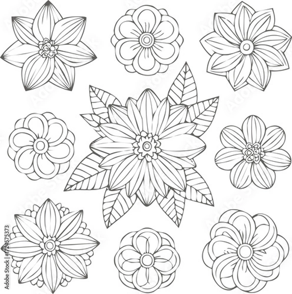 Fototapeta Floral flowers vector set