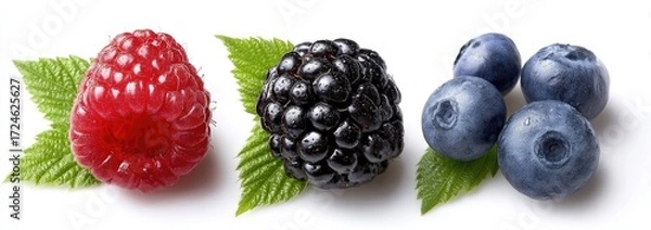 Fototapeta Fresh raspberries, blackberries, and blueberries arranged in a horizontal row