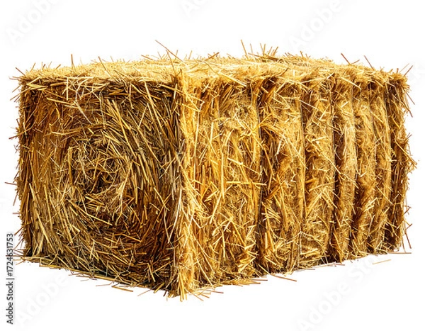 Obraz Rectangular bale of golden straw